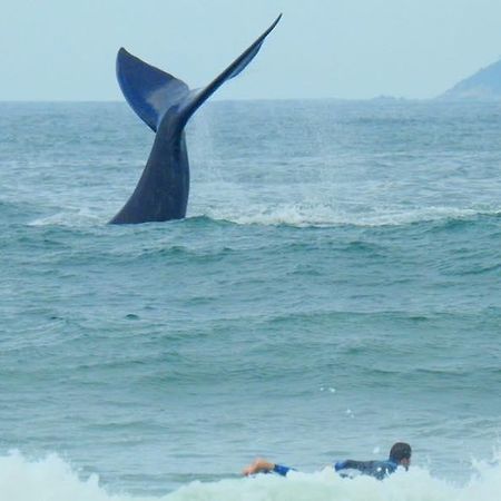 Tranquilidade Na Praia Da Gamboa Garopaba Zewnętrze zdjęcie