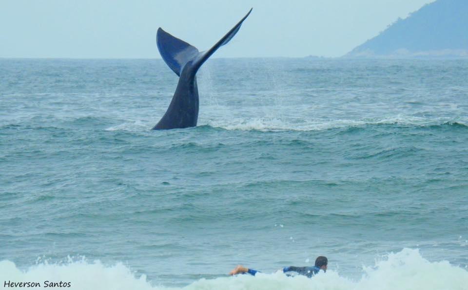 Tranquilidade Na Praia Da Gamboa Garopaba Zewnętrze zdjęcie